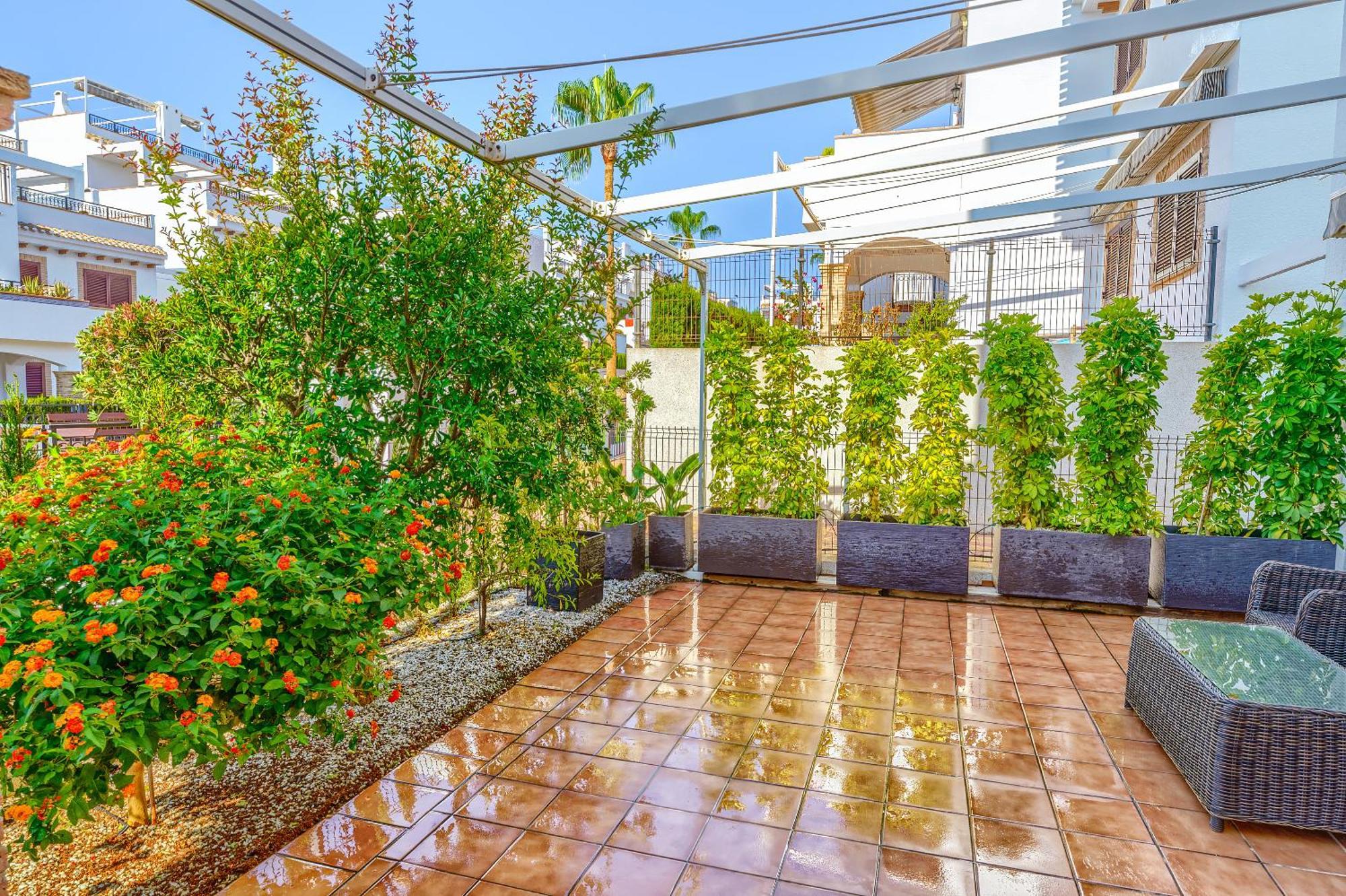 Sunny Apartments In La Mata, Azul Beach 2 Торевиеха Екстериор снимка